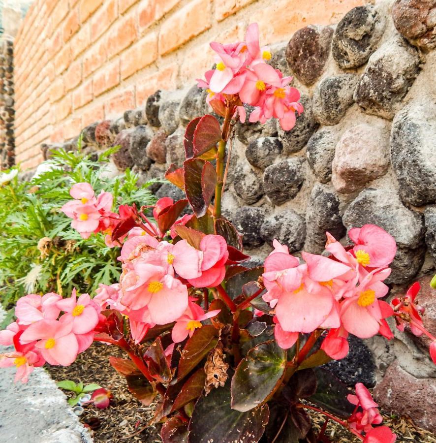 Pampa Garden Hotel Quillullaco Exterior photo